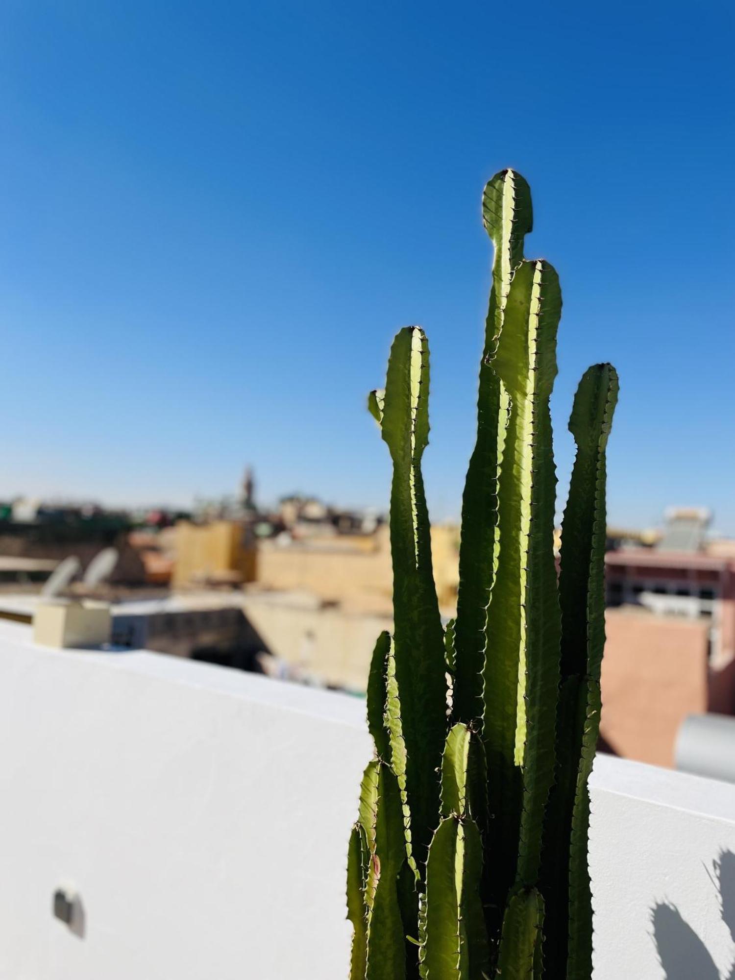 Riad Dar Bayane Marrakesh Esterno foto